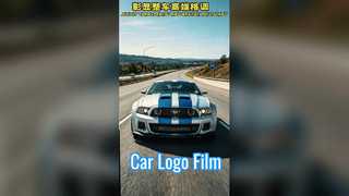 PET-folie voor auto-logo
